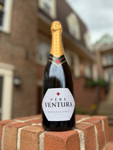 Pere Ventura Cava